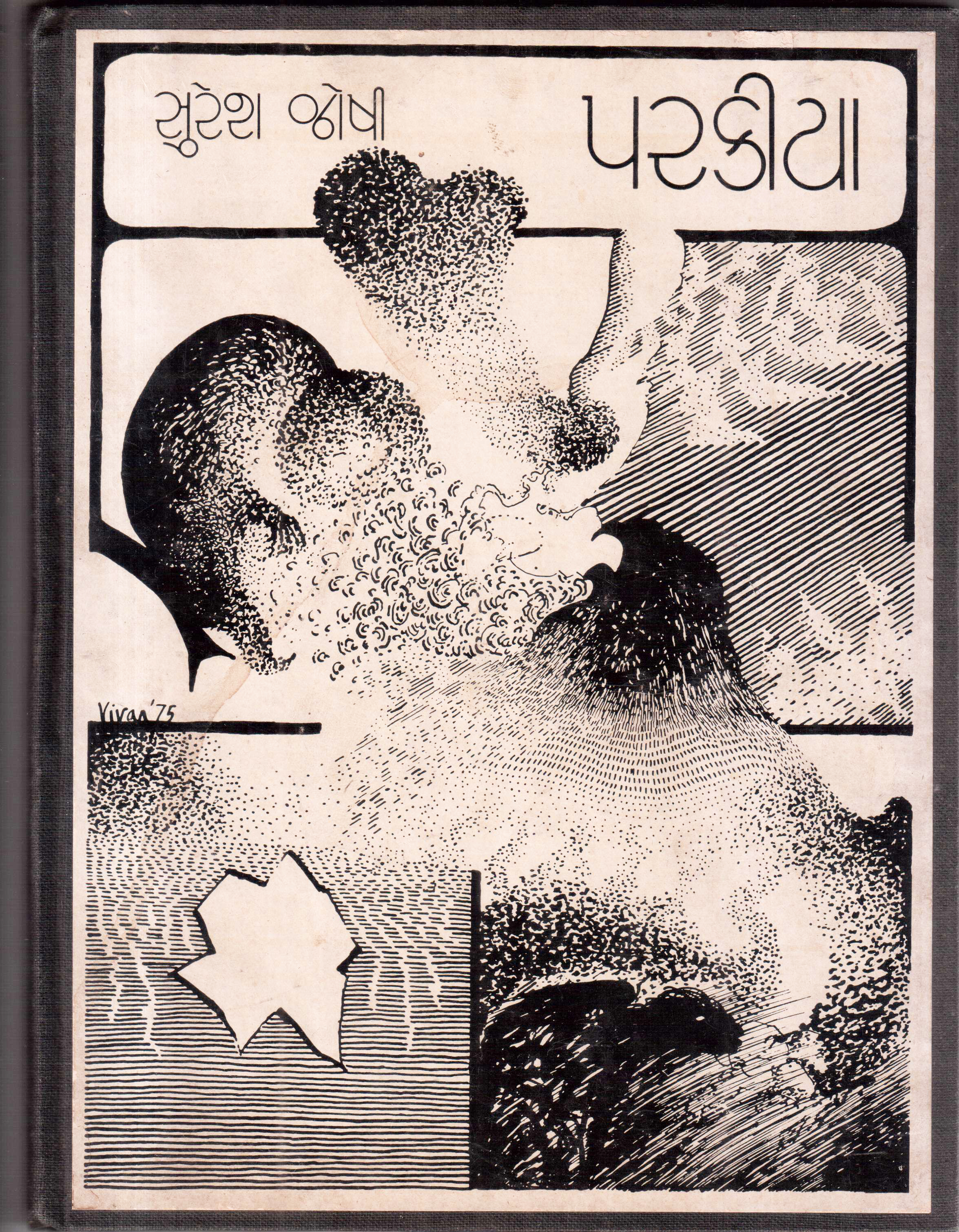 Cover image for પરકીયા