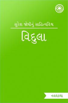 વિદુલા  book cover